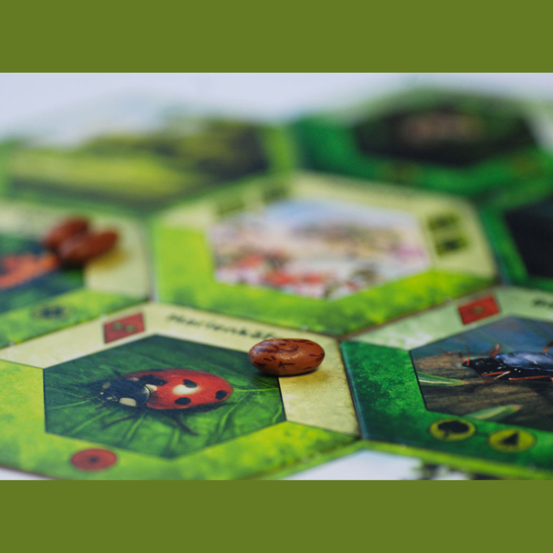 Ecogon