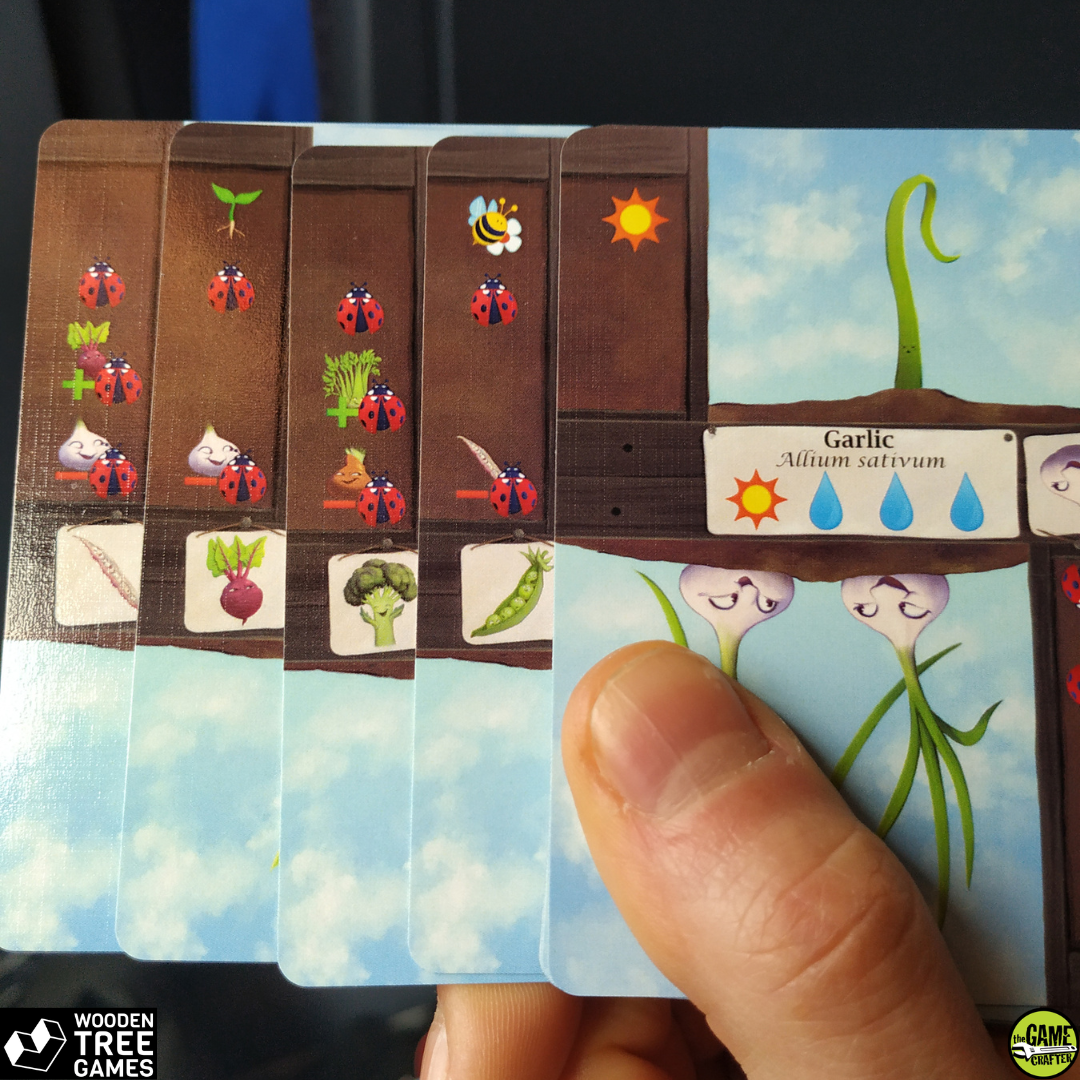 Crop rotation